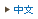 中文