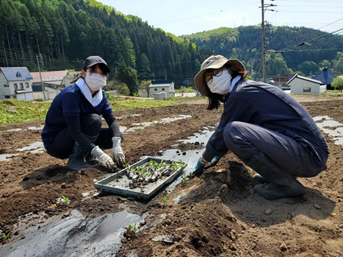 自社収穫体験施設での堆肥活用事例1