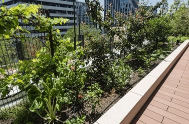 生物多様性向上に寄与する「雨・水・島・水田・香・菜園・蜂・空」の8つの景を設置