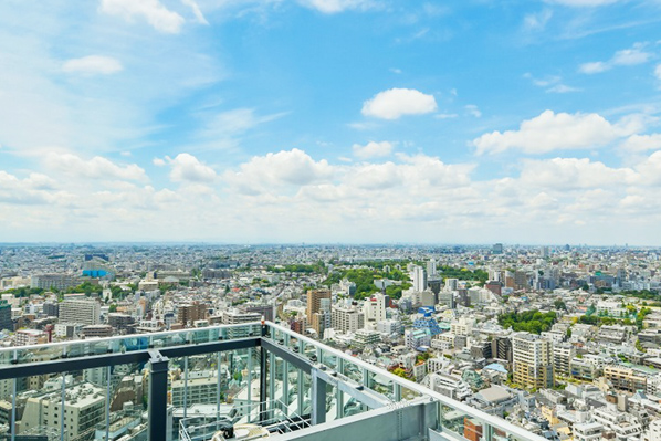 東急グループについて