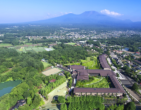 ウェルネス事業