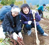 ふるさと体験