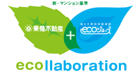 ecollaboration