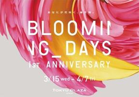 BLOOMINGDAYS画像.jpg