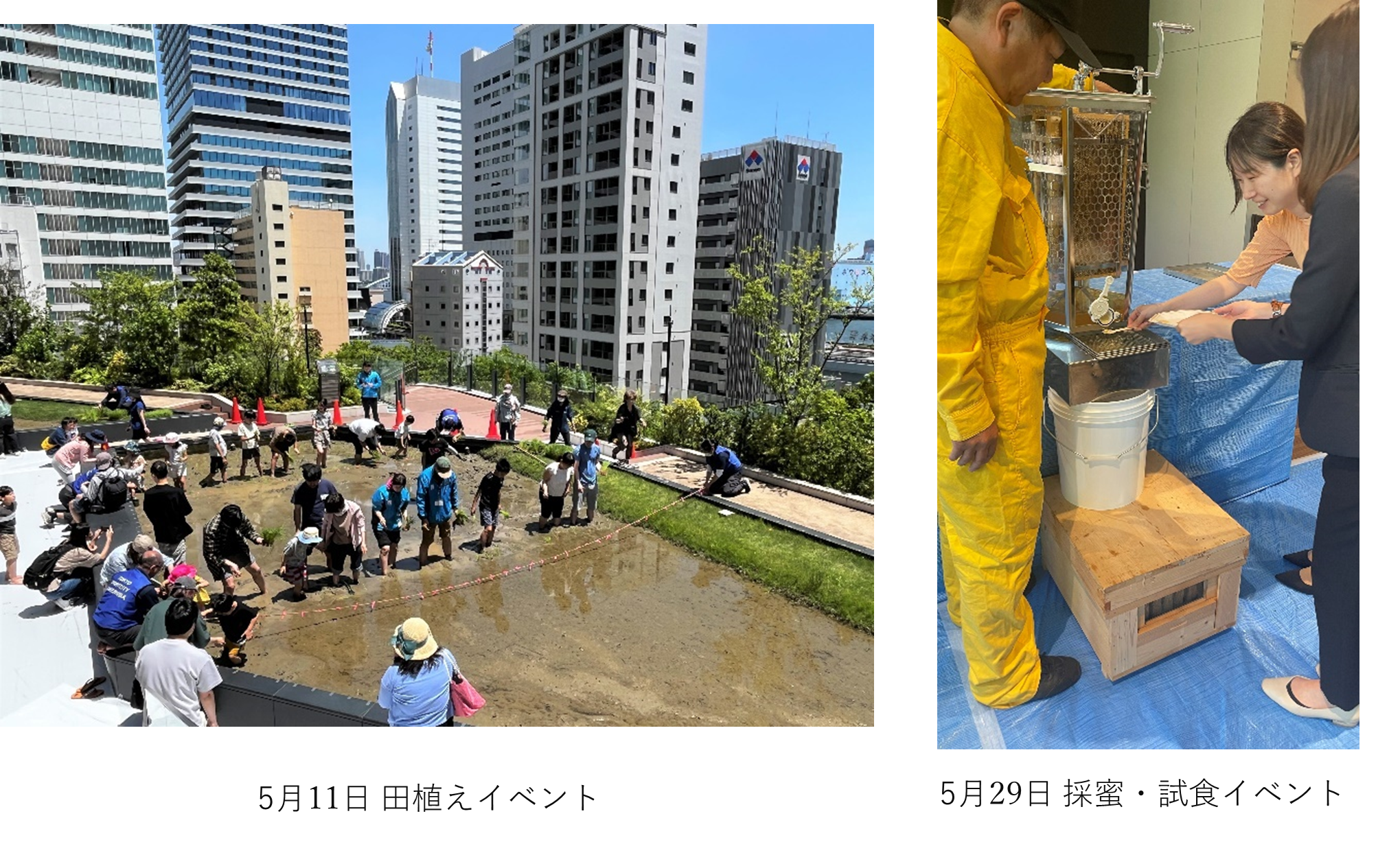 画像1.png