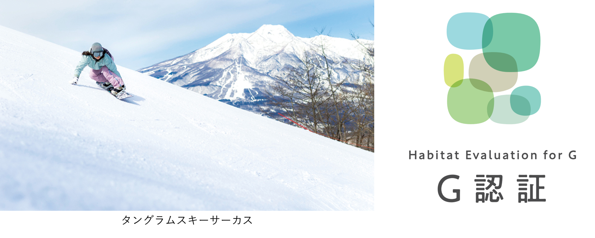サムネ.png