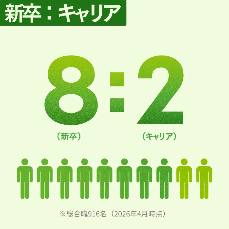 新卒：中途 8（新卒）:2（中途） ※総合職916名（2026年4月時点）