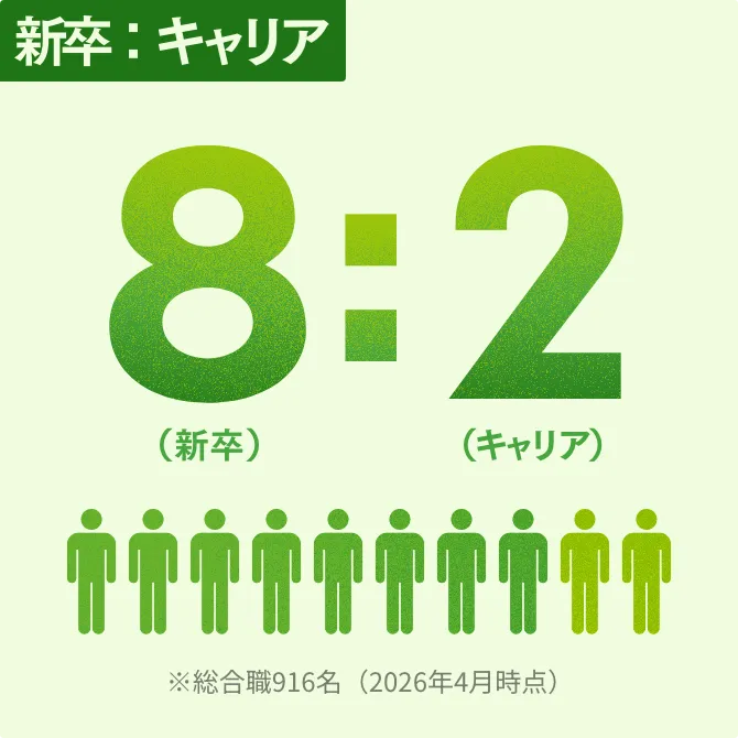 新卒：中途 8（新卒）:2（中途） ※総合職916名（2026年4月時点）