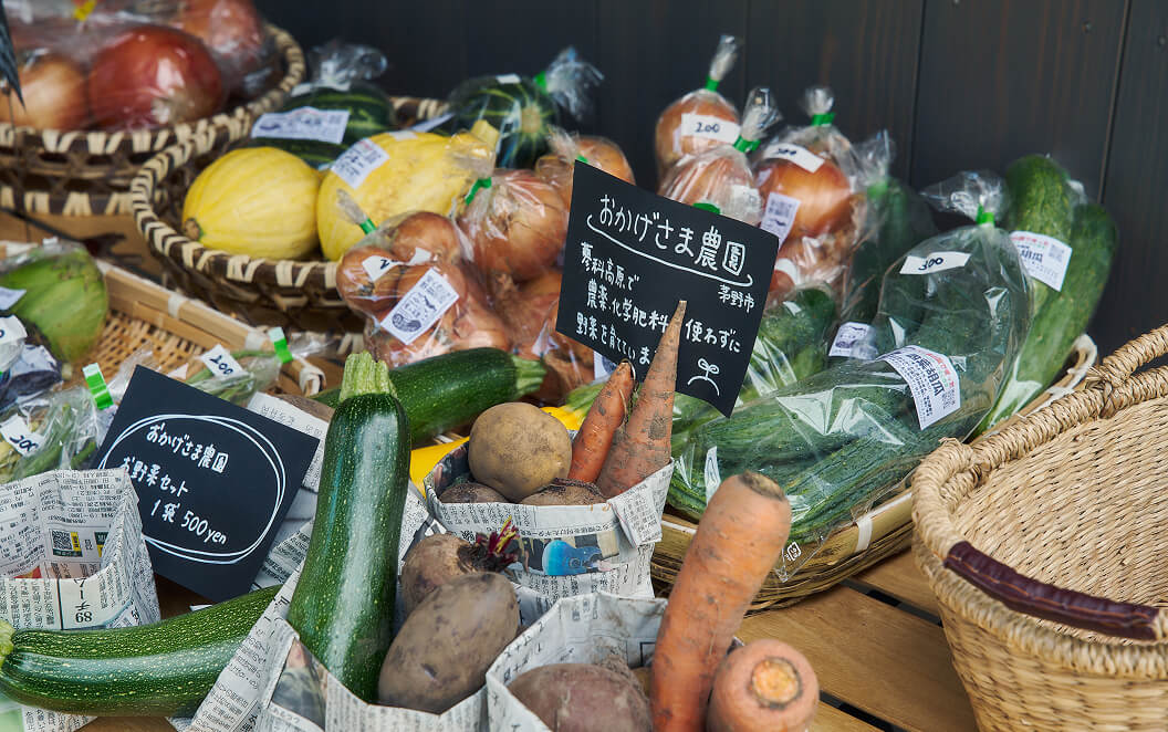 森の力 実験都市Festivalの様子3