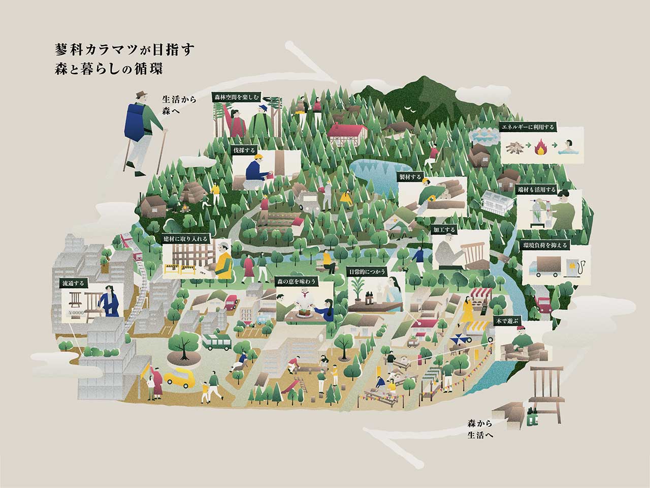 蓼科カラマツ 概要図