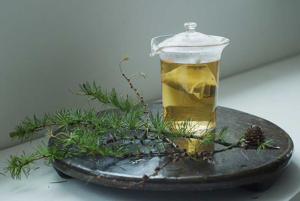 蓼科のカラマツを使用したプロダクト（葉を使ったお茶）