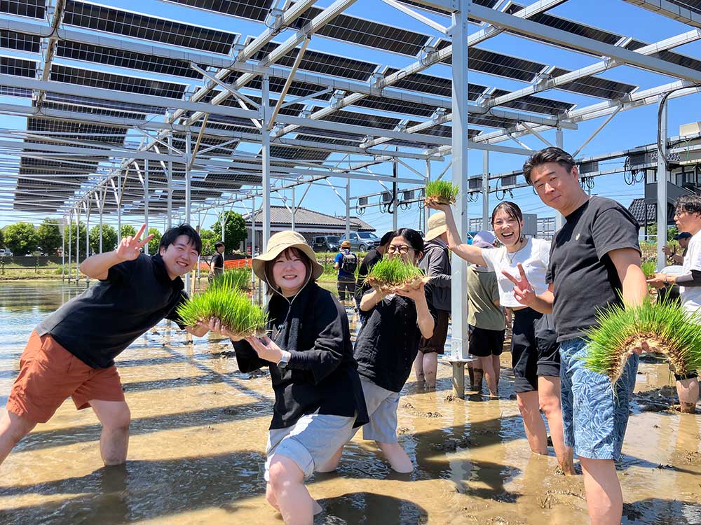 田植えの様子