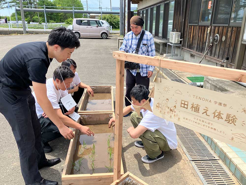 田植え体験
